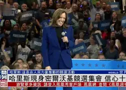 关于密尔沃基雄鹿窗口期回应争议，志在CBA季后赛名次提升，压力陡增，训练强度明显提升的信息